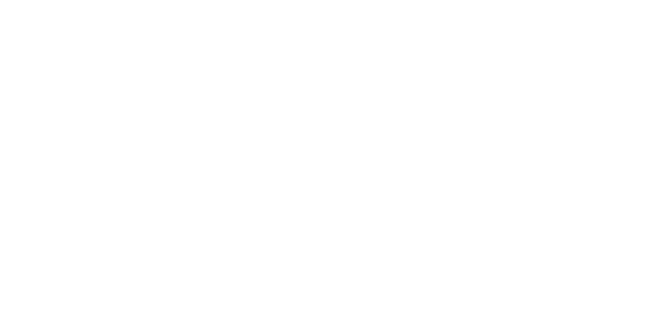 Fibes