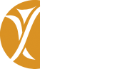 Grupo Feel The City